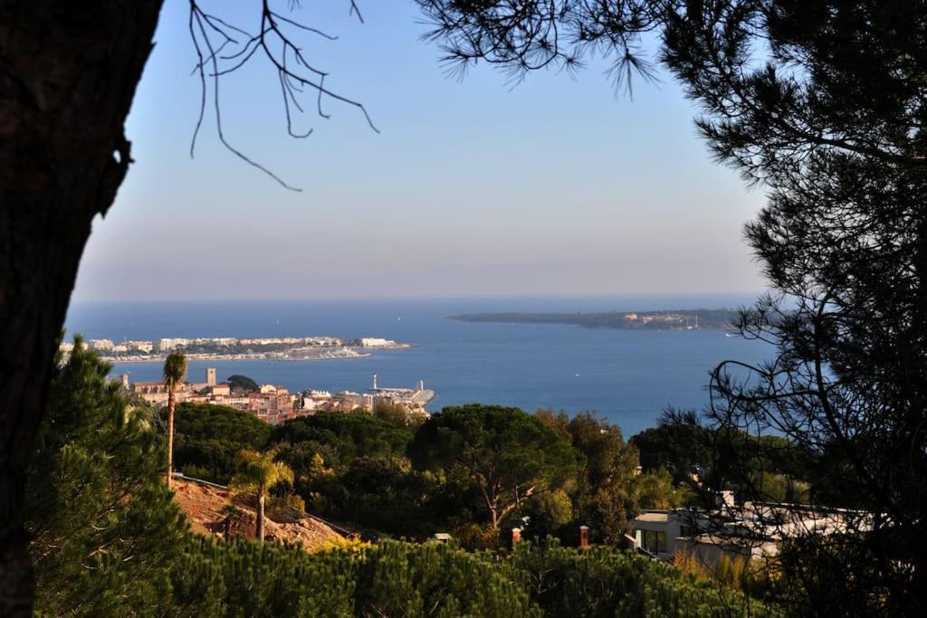 Cannes Beach And Festival Palais ภายนอก รูปภาพ